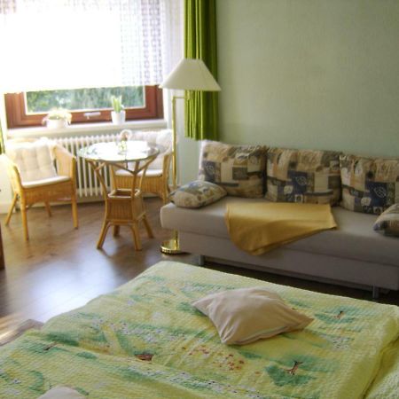 Haus Gertrud Διαμέρισμα Bad Sachsa Εξωτερικό φωτογραφία